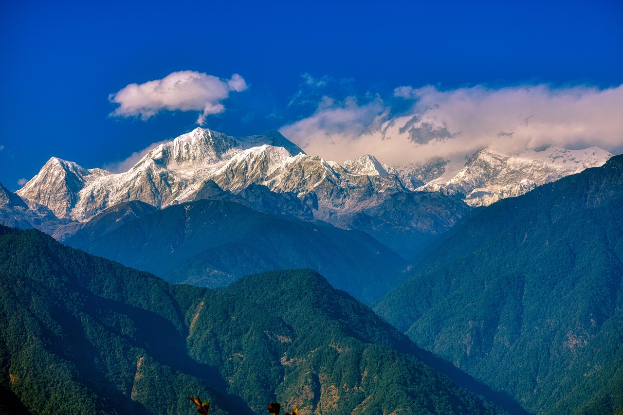 Is Easy Sikkim Casino License Legal in India? Complete 2026 Guide